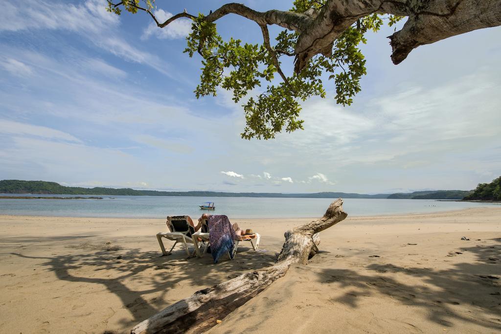 Occidental Papagayo (adults Only) Culebra
